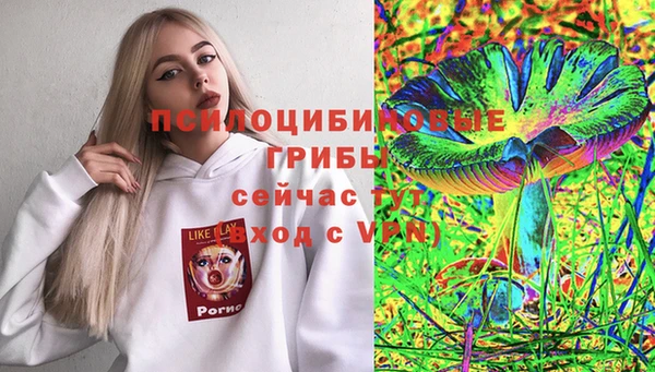 гидра Краснотурьинск
