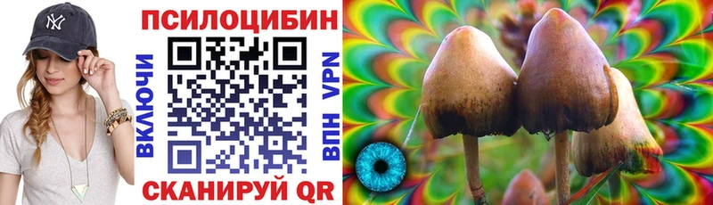 Галлюциногенные грибы прущие грибы  Арзамас 